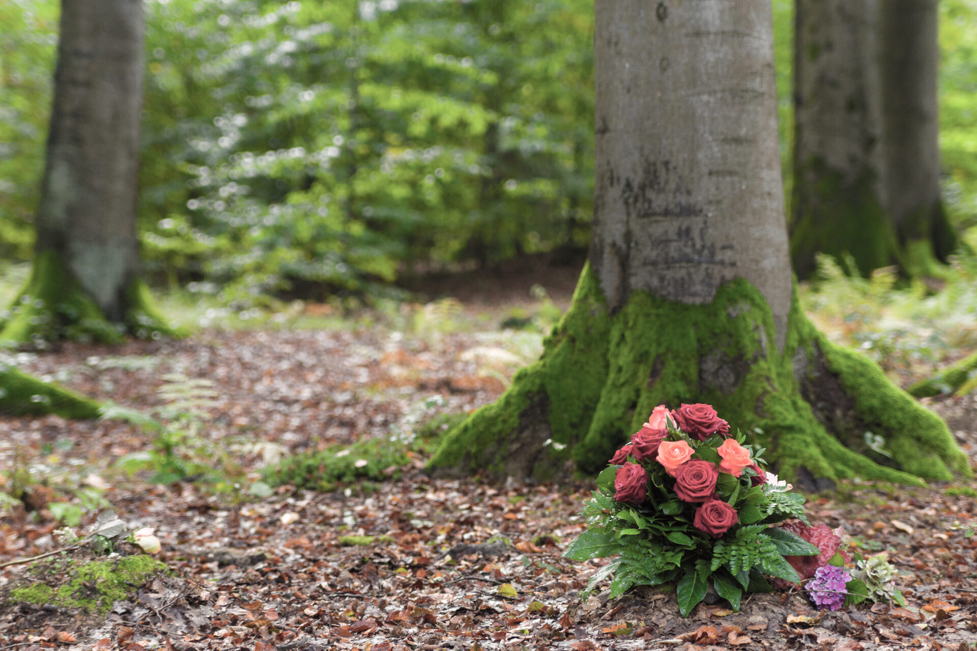 Grabmal an einem Baum