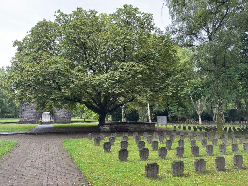 Reihen von kleinen steinernen Grabmalen säumen den grasbewachsenen Rasen des Hauptfriedhofs Frankfurt am Main, beschattet von einem großen, belaubten Baum. Wege schlängeln sich zwischen den Kriegsdenkmälern hindurch, umgeben von ruhigen Bäumen und Grünpflanzen im Hintergrund.